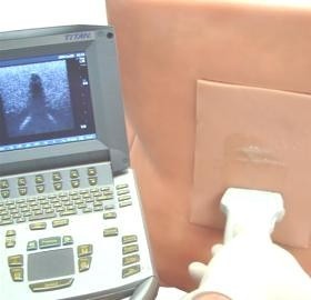 LUMBAR PUNCTURE / EPIDURAL TRAINER - Image 3