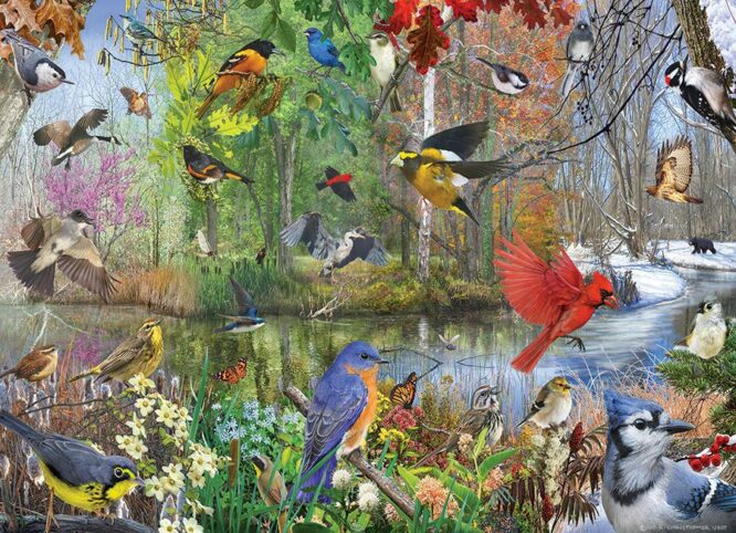 BIRDS OF THE SEASON - 1000 PIECE PUZZLE - OS80243