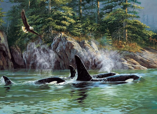 ORCAS - 1000 PIECE PUZZLE - OS80249 - Image 2