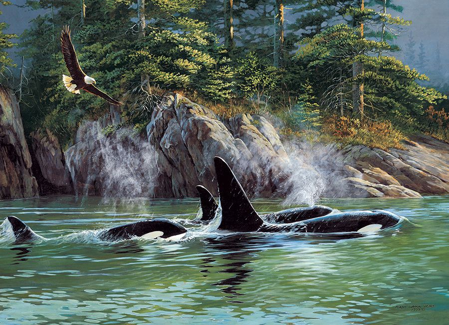 ORCAS - 1000 PIECE PUZZLE - OS80249 - Image 2