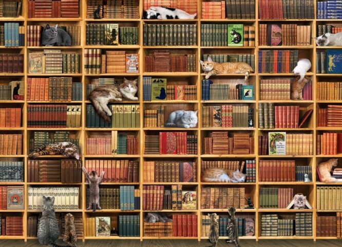 THE CAT LIBRARY - 1000 PIECE PUZZLE - OS80216 - Image 2